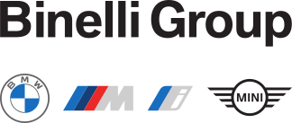 Binelli Group Logo